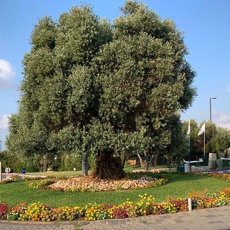 Mina'S Suites - קיסריה Bagian luar foto
